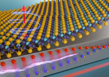 Advances in 2D Magnetic Devices Open New Avenues for Future Computing